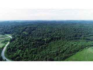 Tract 65 - Timberland & Farmland in Noble County, OH - LAND AUCTION - 12,200+/- ACRES OFFERED IN 65 TRACTS IN NOBLE COUNTY, OHIO